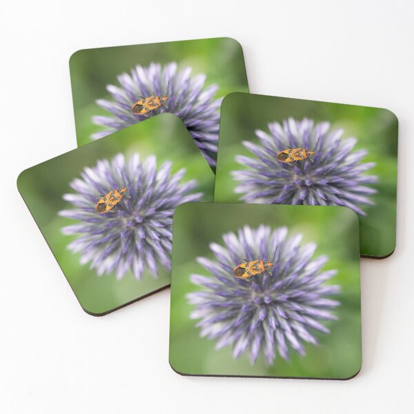 Item preview, Echinops (Globe Thistle)  & Shield Bug designed and sold by ccullen222.