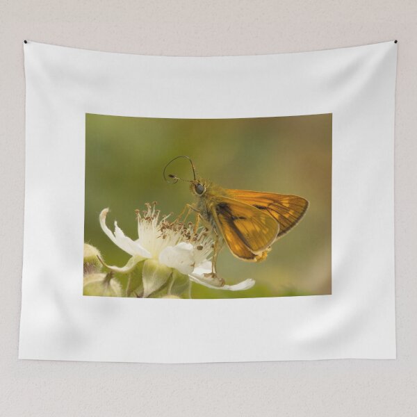 Item preview, Large Skipper Butterfly designed and sold by Neil Bygrave (NATURELENS).