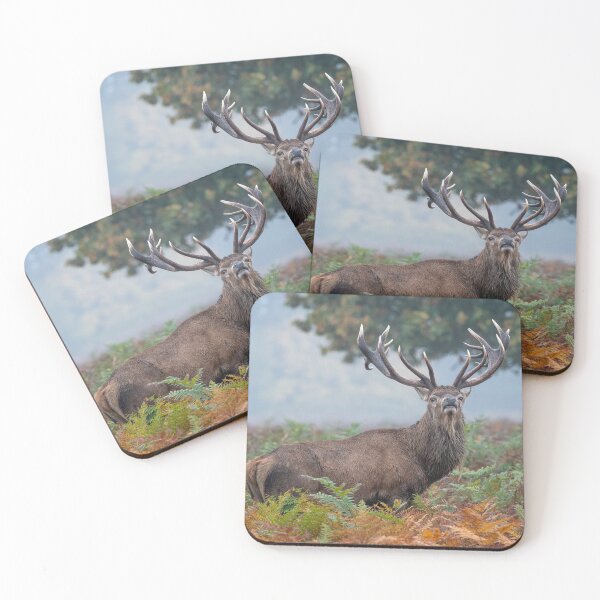 Item preview, Red Deer Stag designed and sold by Steve Liptrot Photography.