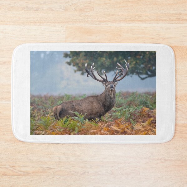 Item preview, Red Deer Stag designed and sold by Steve Liptrot Photography.