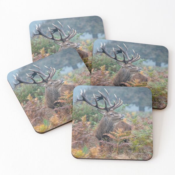 Item preview, Red Deer Stag designed and sold by Steve Liptrot Photography.