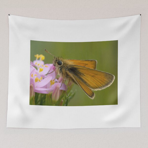 Item preview, Small Skipper designed and sold by Neil Bygrave (NATURELENS).