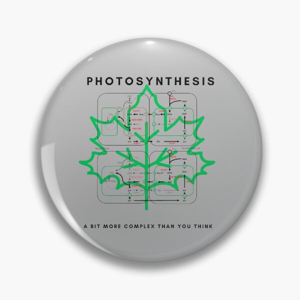 Item preview, Photosynthesis designed and sold by sci-alliance.