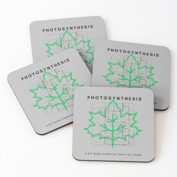 Item preview, Photosynthesis designed and sold by sci-alliance.