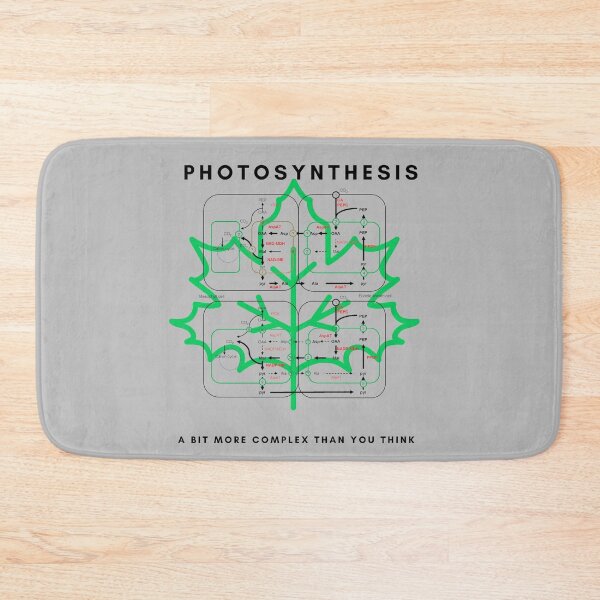 Item preview, Photosynthesis designed and sold by sci-alliance.