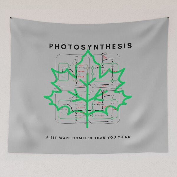 Item preview, Photosynthesis designed and sold by sci-alliance.