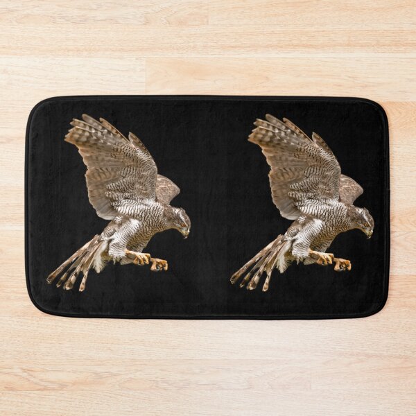 Item preview, Northern Gosshawk on Black designed and sold by Alius Imago.