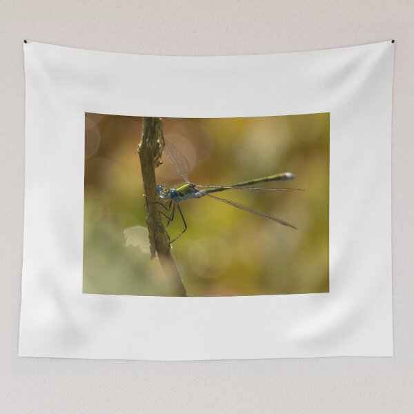 Item preview, Male Emerald Damselfly designed and sold by Neil Bygrave (NATURELENS).