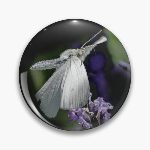Item preview, New Finition 2020  r1566/  The Star : unusual flight of a butterfly 2 (c)(h) by Olao-Olavia / Okaio Créations  designed and sold by o.okaïo.