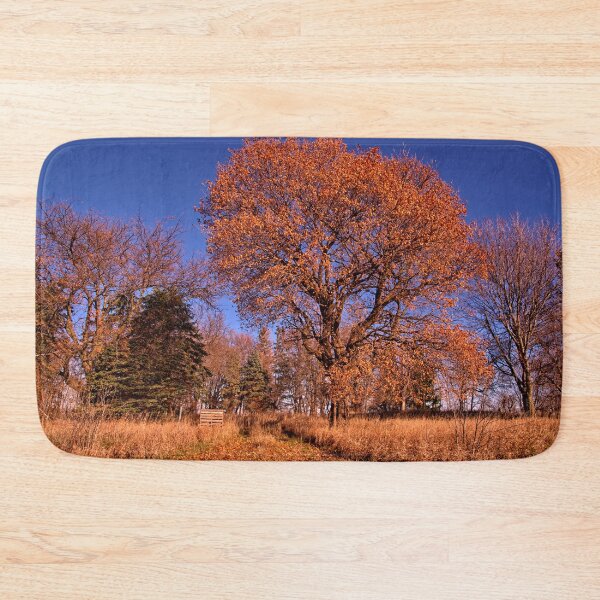Item preview, Abandoned Acreage designed and sold by LynyrdSky.