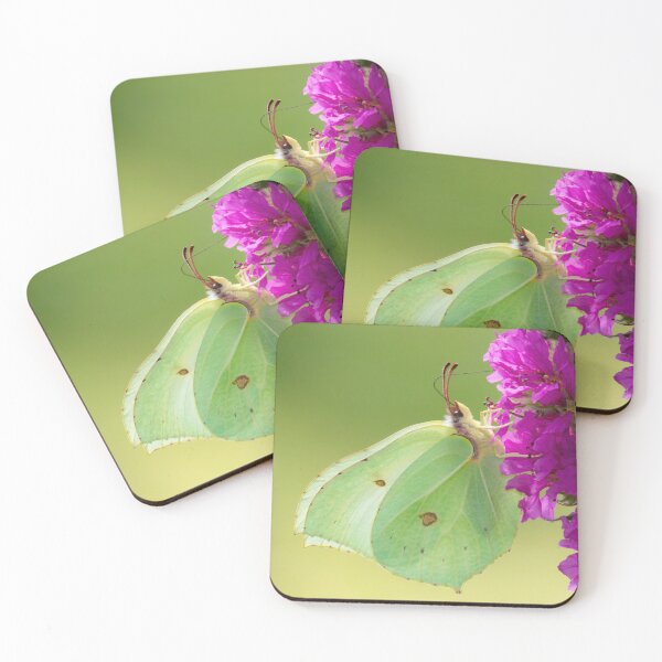 Item preview, Female Brimstone Butterfly designed and sold by Neil Bygrave (NATURELENS).