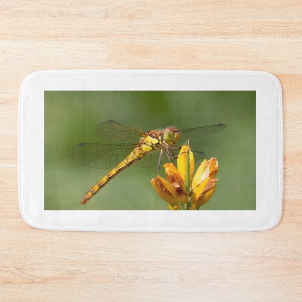 Item preview, Female Common Darter designed and sold by Neil Bygrave (NATURELENS).