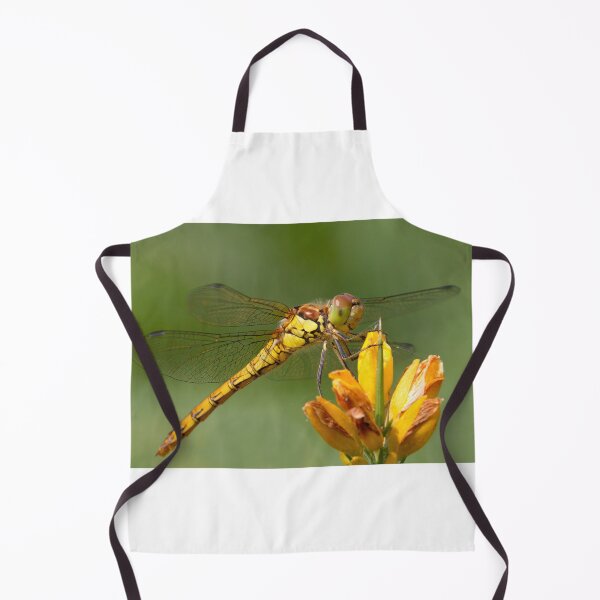 Item preview, Female Common Darter designed and sold by Neil Bygrave (NATURELENS).