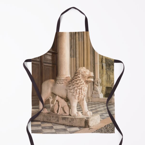 Item preview, Beautiful Bergamo at Night - Leonine Entrance of Santa Maria Maggiore Basilica designed and sold by Georgia Mizuleva.