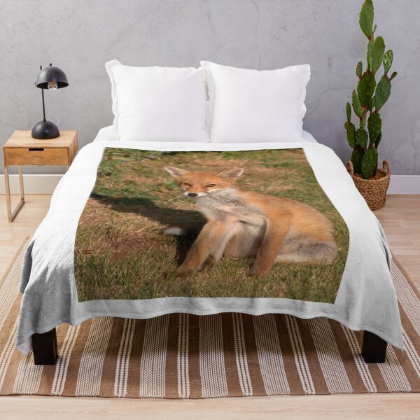 Item preview, Young Fox designed and sold by Neil Bygrave (NATURELENS).