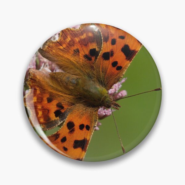 Item preview, Comma Butterfly designed and sold by Neil Bygrave (NATURELENS).