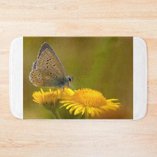 Item preview, Male Common Blue Butterfly designed and sold by Neil Bygrave (NATURELENS).