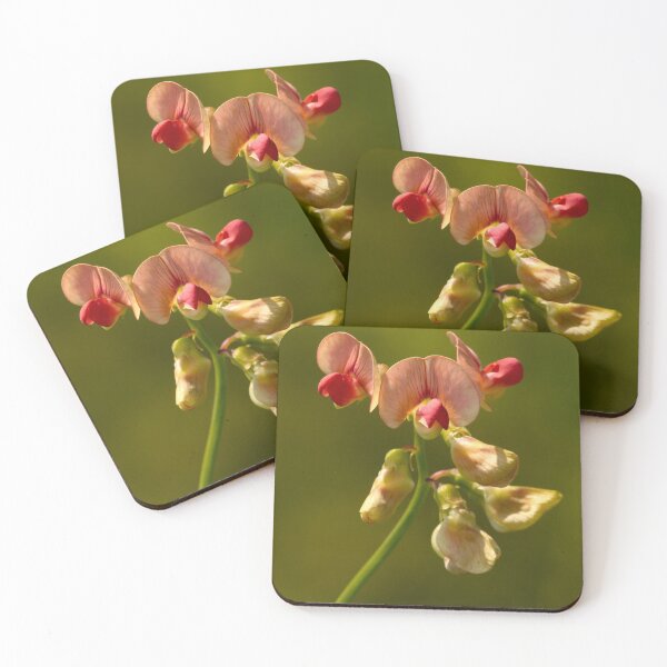 Item preview, Narrow-leaved Everlasting-pea designed and sold by Neil Bygrave (NATURELENS).