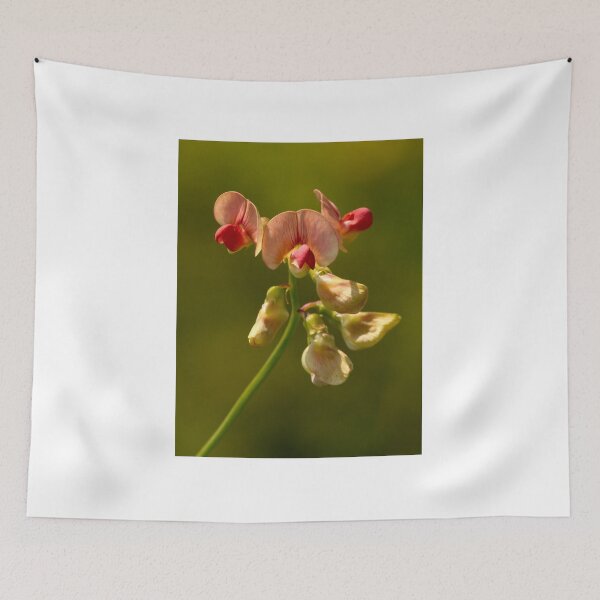Item preview, Narrow-leaved Everlasting-pea designed and sold by Neil Bygrave (NATURELENS).