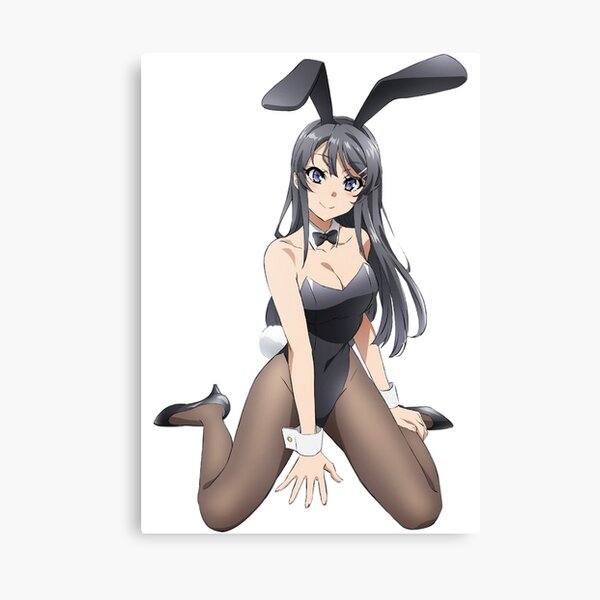 1/4 Soft Ver. Seishun Buta Yarou Wa Bunny Girl Sakurajima May 