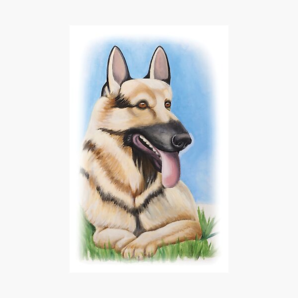 its smug aura mocks me Photographic Print