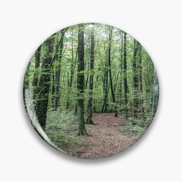 Item preview, Path Between Trees (Fageda d'en Jordà, Catalonia) designed and sold by Marc Garrido Clotet.