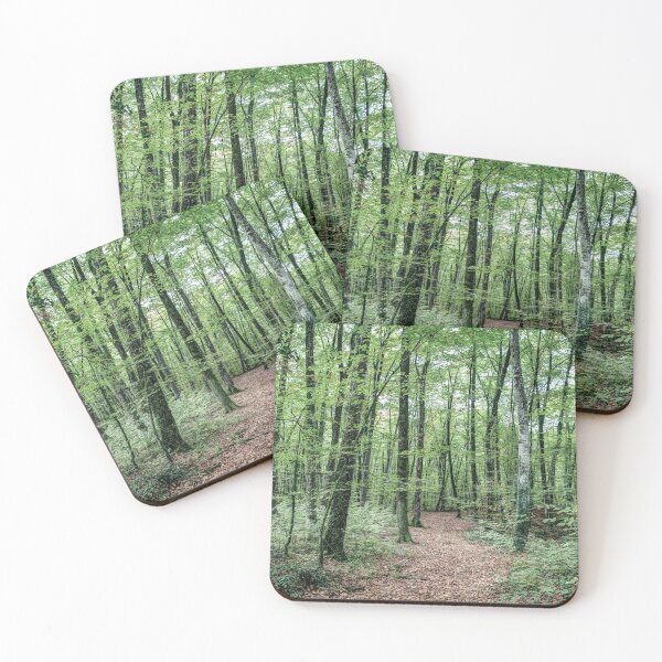 Item preview, Path Between Trees (Fageda d'en Jordà, Catalonia) designed and sold by Marc Garrido Clotet.