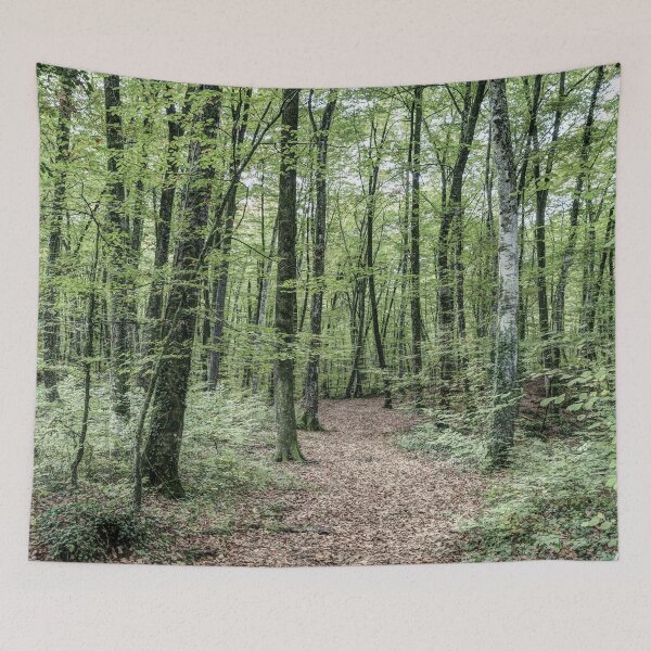 Item preview, Path Between Trees (Fageda d'en Jordà, Catalonia) designed and sold by Marc Garrido Clotet.