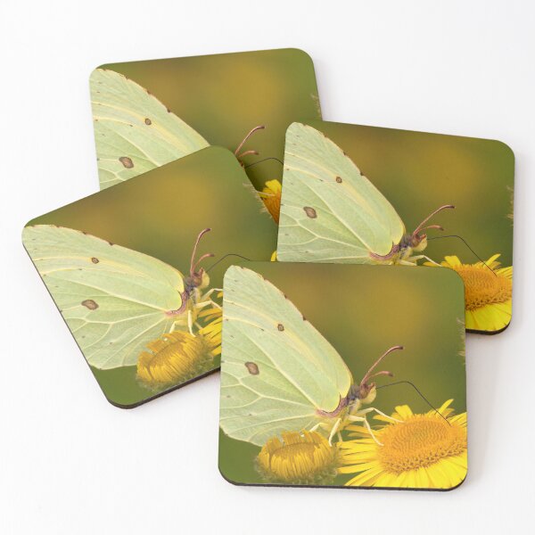 Item preview, Female Brimstone Butterfly designed and sold by Neil Bygrave (NATURELENS).