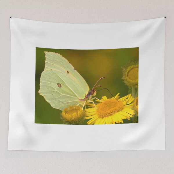 Item preview, Female Brimstone Butterfly designed and sold by Neil Bygrave (NATURELENS).