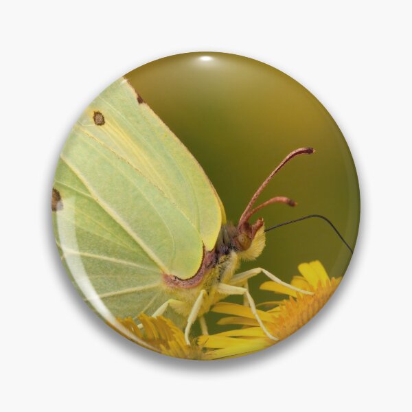 Item preview, Female Brimstone Butterfly designed and sold by Neil Bygrave (NATURELENS).