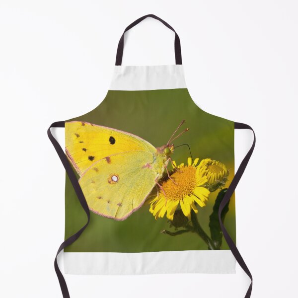 Item preview, Clouded Yellow Butterfly designed and sold by Neil Bygrave (NATURELENS).