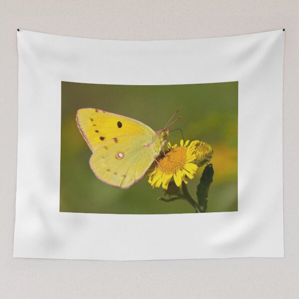 Item preview, Clouded Yellow Butterfly designed and sold by Neil Bygrave (NATURELENS).