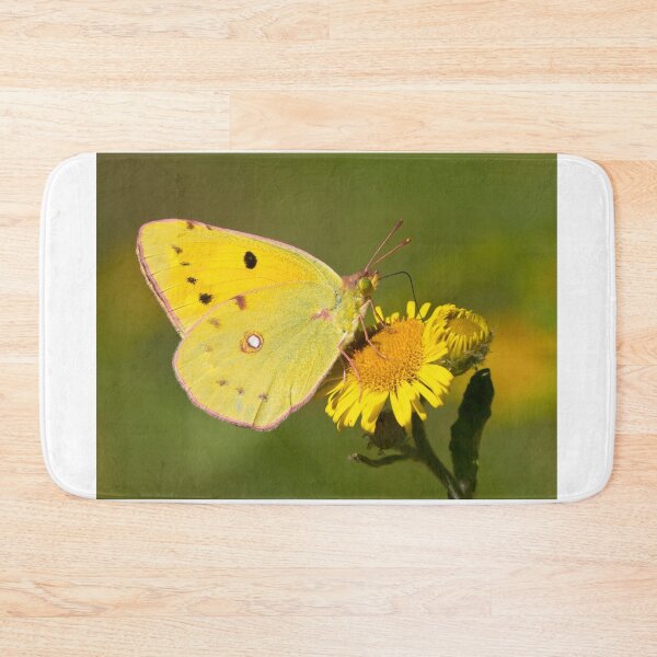 Item preview, Clouded Yellow Butterfly designed and sold by Neil Bygrave (NATURELENS).