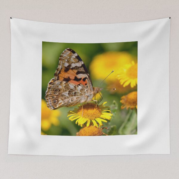 Item preview, Painted Lady Butterfly designed and sold by Neil Bygrave (NATURELENS).