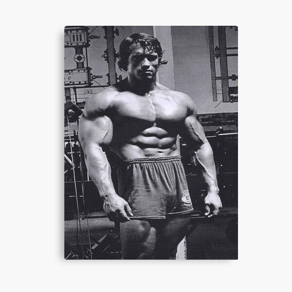 Arnold Schwarzenegger Bodybuilding Poster Canvas Print