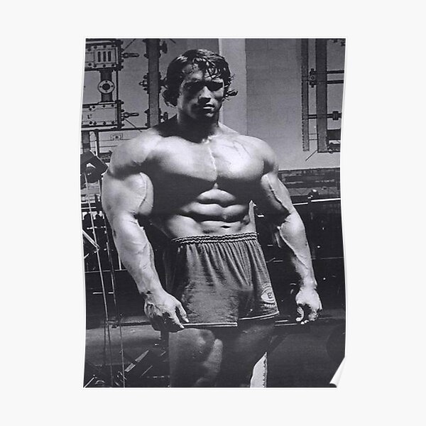 Arnold Schwarzenegger Bodybuilding Poster Poster