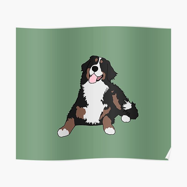 Bernese Mountain Dog Poster