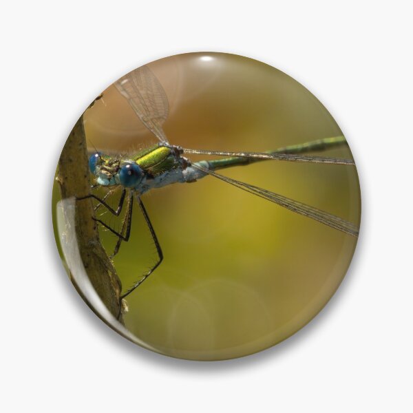 Artikelvorschau, Männlicher Smaragd Damselfly entworfen und verkauft von Neil Bygrave (NATURELENS).