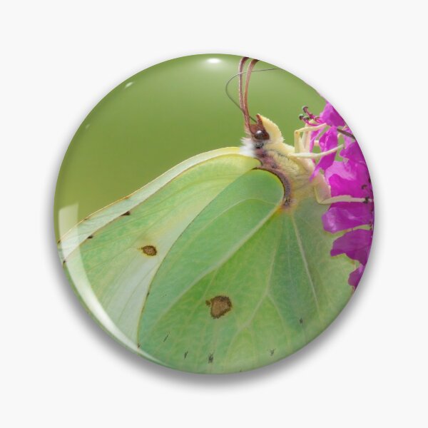 Item preview, Female Brimstone Butterfly designed and sold by Neil Bygrave (NATURELENS).