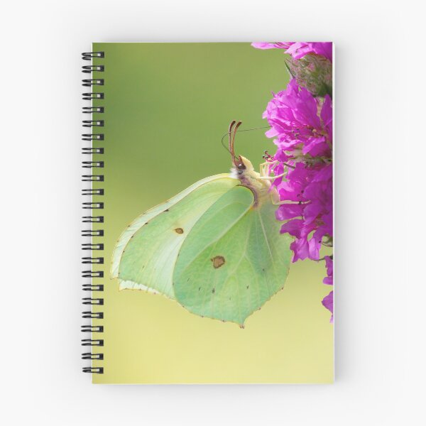 Item preview, Female Brimstone Butterfly designed and sold by Neil Bygrave (NATURELENS).