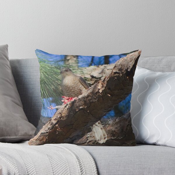 Item preview, Cooper's Hawk designed and sold by Deewinged.
