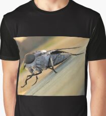 Beauty Is In The Eye Of The Beholder Graphic T-Shirt
