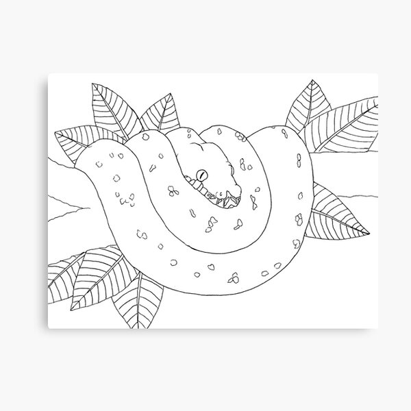 Green Tree Python Canvas Prints | Redbubble