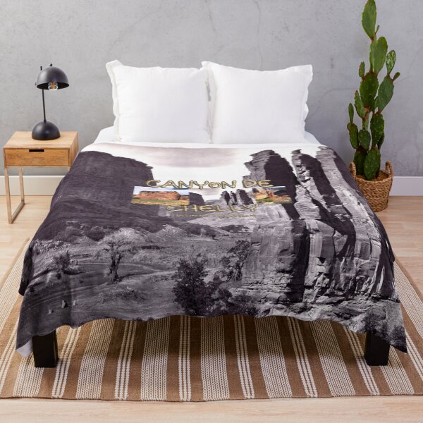 Item preview, Canyon de Chelly National Monument designed and sold by teepossible.