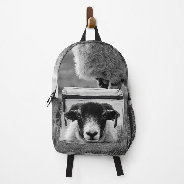 Item preview, An Exmoor sheep. designed and sold by Dave Hare Photography.