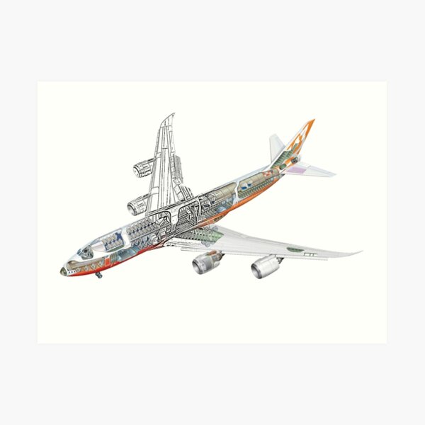 Boeing 747-800 intercontinental Art Print