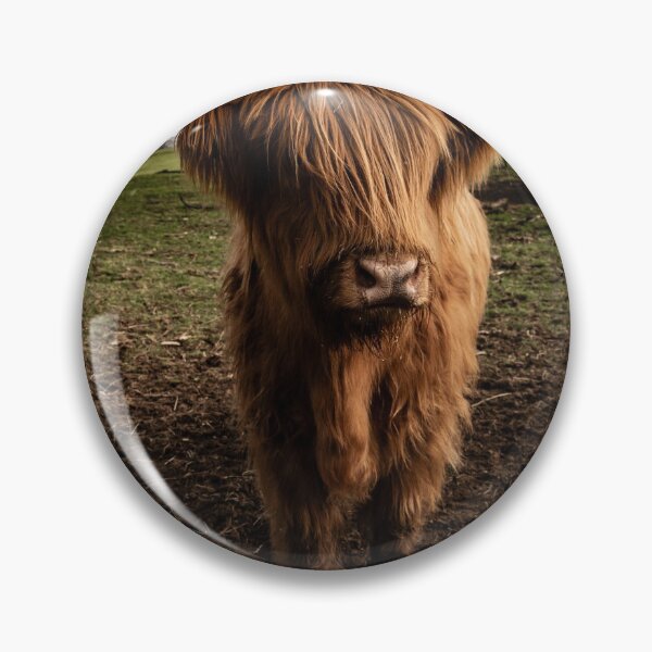 Item preview, Coos Day designed and sold by lyndsaymphoto.