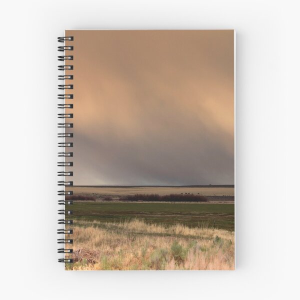 Item preview, Storm clouds eastern Oregon US designed and sold by tamal778.