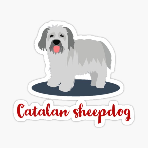 Pegatinas: Perro Pastor Catalan | Redbubble
